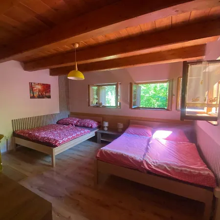 Lodge Safran