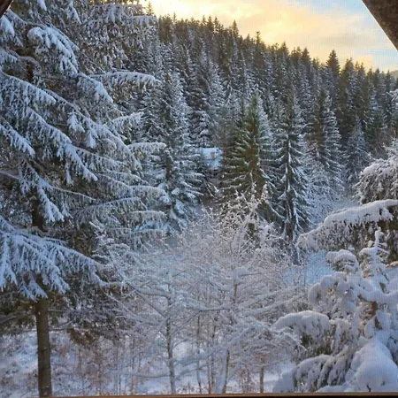 Lodge Safran *